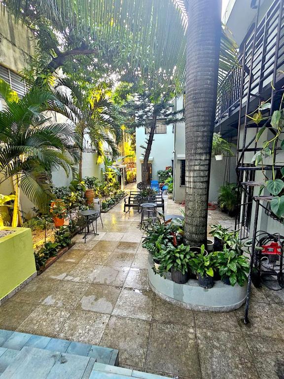 Hotelito Bonito courtyard seating among tropical plants